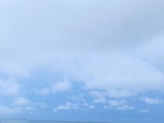 -盐洲岛