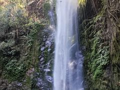 -莫里热带雨林景区