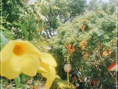-晓雯人家