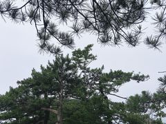 -罗田薄刀峰风景区