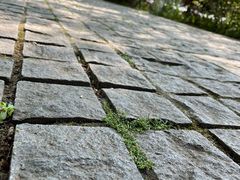 -紫金山索道-售票处