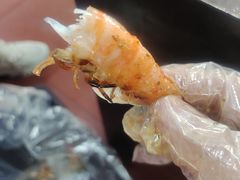 -大勇羊棒骨·烧烤(经六路店)