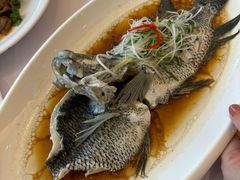 -骏莱海鲜鱼港(五角场店)
