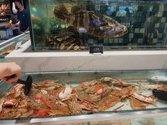 梭子蟹-初色海鲜自助(朝阳北路店)