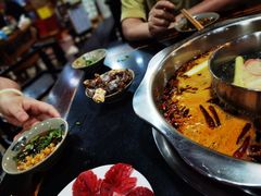 -星鸿社重庆老火锅(燃灯寺分店)