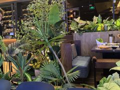 -同仁四季椰子鸡(宝安壹方城店)