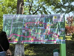 -黄海国家森林公园