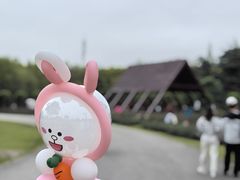 -上海滨江森林公园