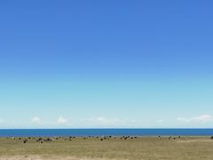 -青海湖国家重点风景名胜区
