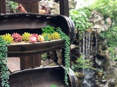 -漫渡庄绿岛花园•隐世庭园菜(滨湖店)
