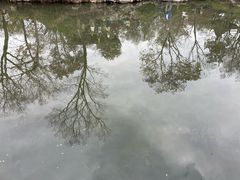 -拙政园