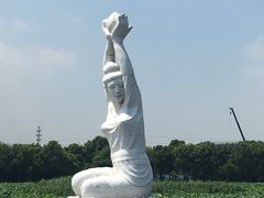 -荷塘月色湿地公园·向阳花洲