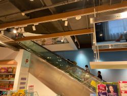 -婴贝儿(山东青年创业社区店)