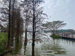 -海珠湖公园
