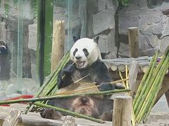 -栾川竹海野生动物园