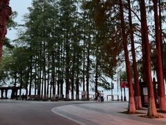 -东湖落雁景区