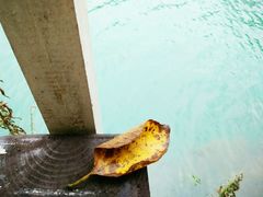 -石燕湖生态旅游景区
