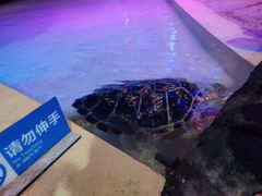 -华夏文旅海洋公园