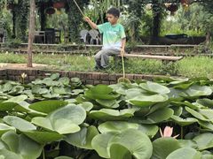 -同銮特种养殖场·龙虾垂钓