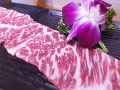 -唯成•韩国炭火烤肉 유성고기