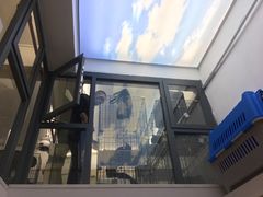 -傲雄·叮叮宠物(新华路店)