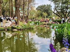 -人民公园(罗湖区)