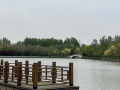 -塘沽森林公园