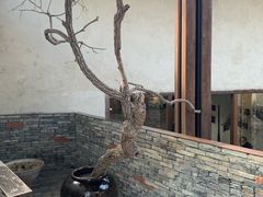 -几荷·恰似故人来(秀水广场店)