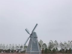 -金卉庄园