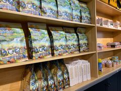 -猫十亿·布偶金渐层·曼基康矮脚猫舍(青年路店)