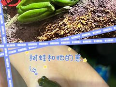 -正佳雨林生态植物园