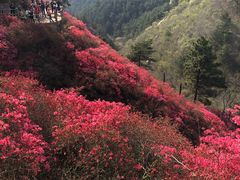 -木兰云雾山