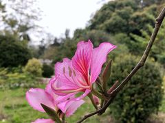 -华南国家植物园-售票处