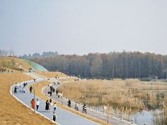 -青山湖景区