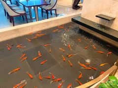 -风味小馆(天目湖宾馆店)