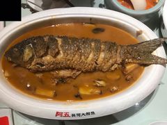 -阿五黄河大鲤鱼(纬三路店)