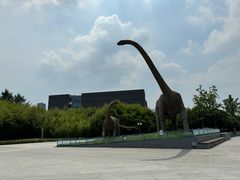 -天鹅湖体育公园