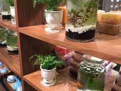 -代字行家居 DZH HOME(正弘城店)