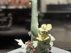 -景德镇中国陶瓷博物馆