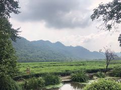 -中国茶叶博物馆(双峰馆区)