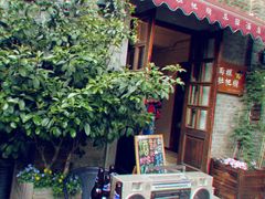 -两棵枇杷树