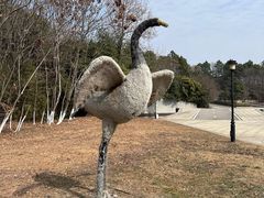 -鄱阳湖国家湿地公园