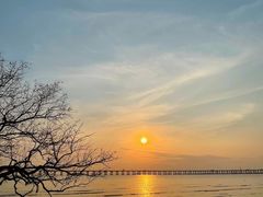 -宝安西湾红树林湿地公园