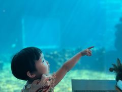-涛·海底餐厅·美人鱼·自助餐·海底隧道(三亚海棠湾洲际度假酒店)
