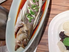 -九转小磨·非遗东北菜(万达广场店)