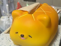 -半岛宠物医院24小时(白果林店)