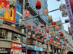 -越秀西湖花市(广州城市广场花卉店)