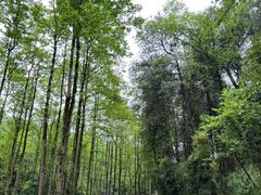 -贵州森林野生动物园