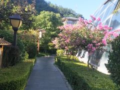 -麦积山温泉