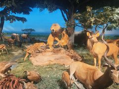 -国家自然博物馆